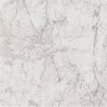 Lux white 60 x 60cm white marble surface with intricate gray veining for elegant interior use