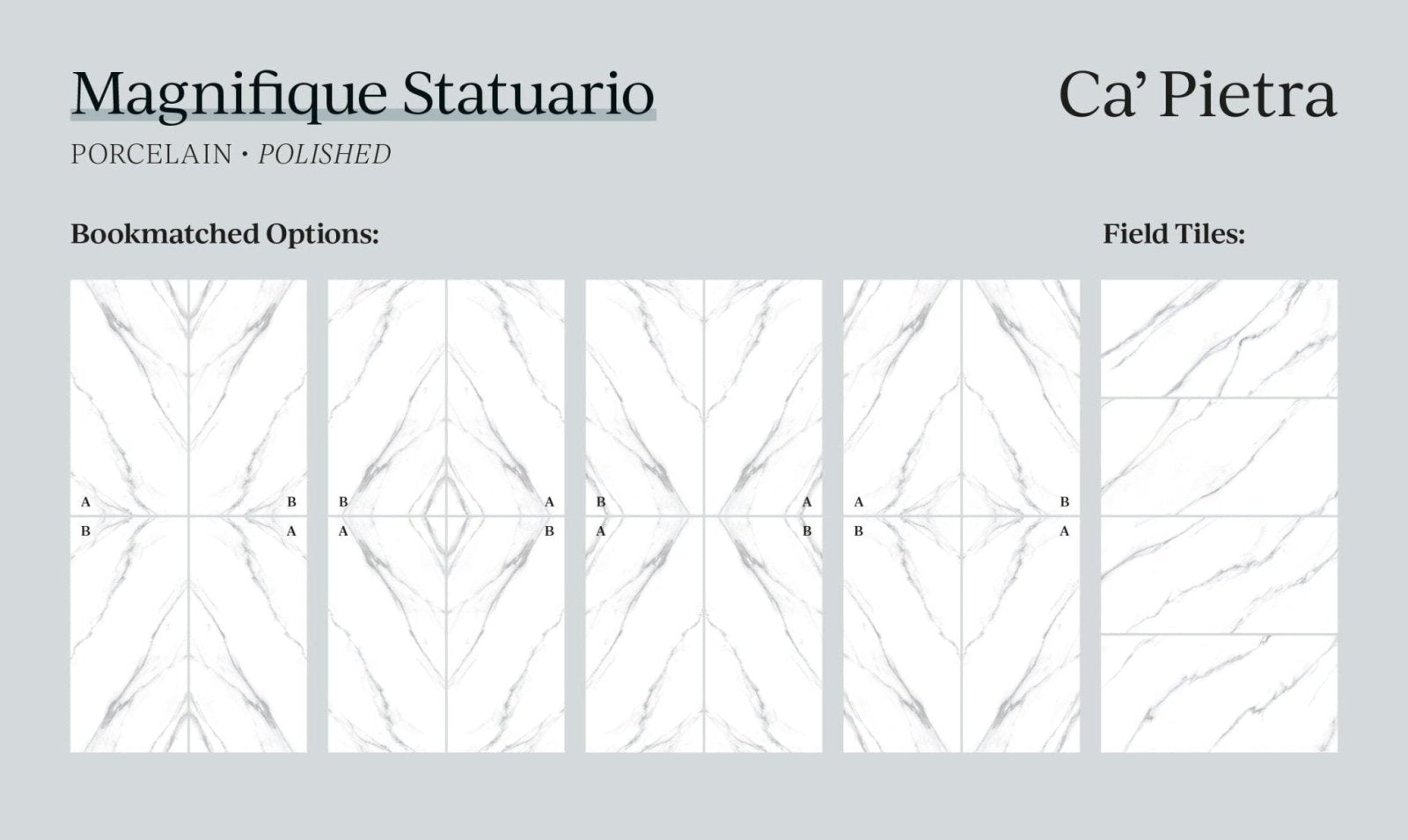 Magnifique Porcelain Statuario Bookmatched