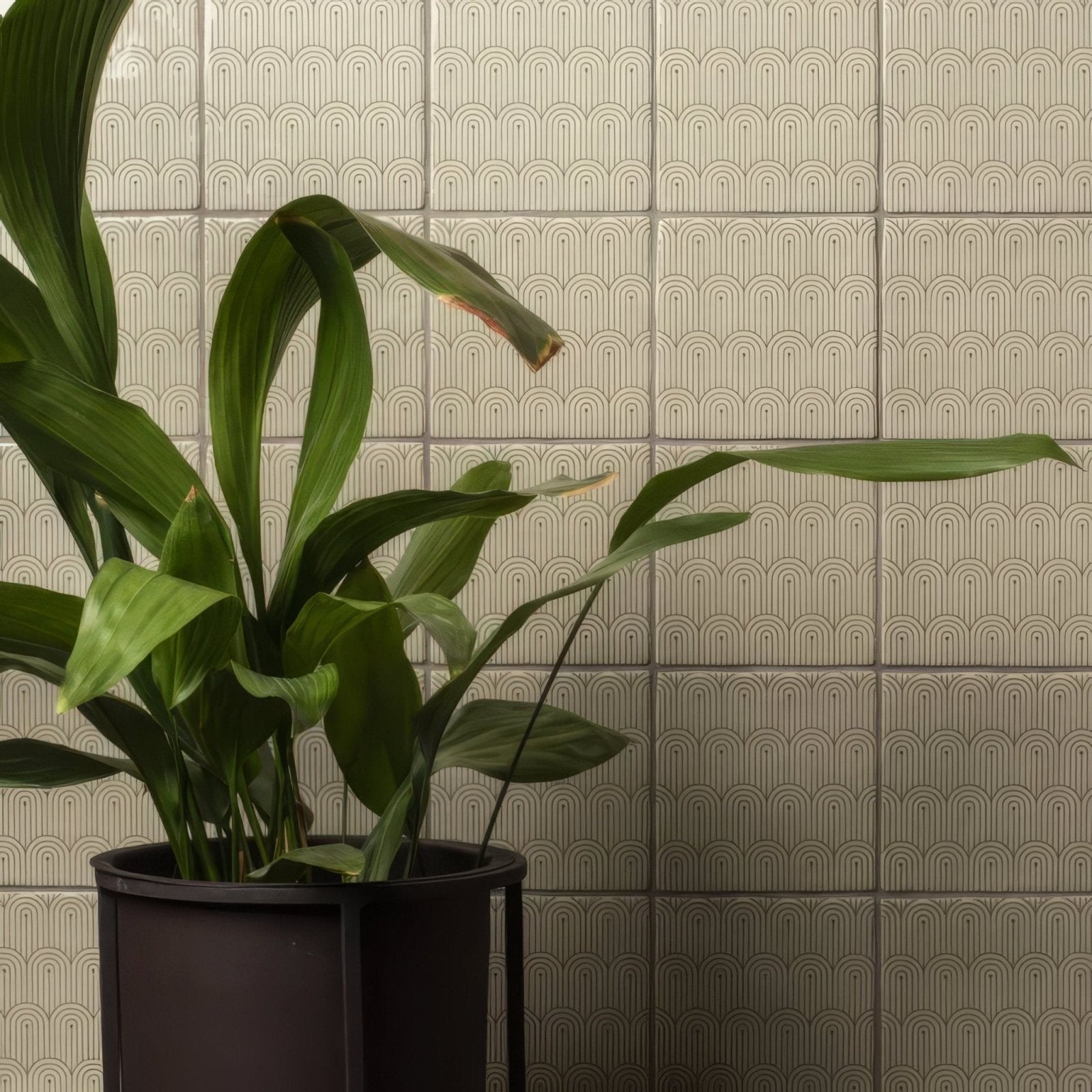 A lush green plant with long broad leaves in a sleek black cylindrical pumice pot by manoir deco