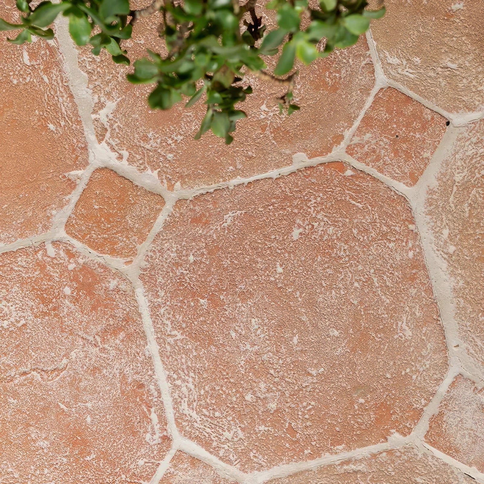 Marlborough terracotta octagons and cabochons terracotta textured stone tiles with white grout lines for flooring and walls