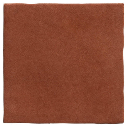 Maroc Porcelain Tomato