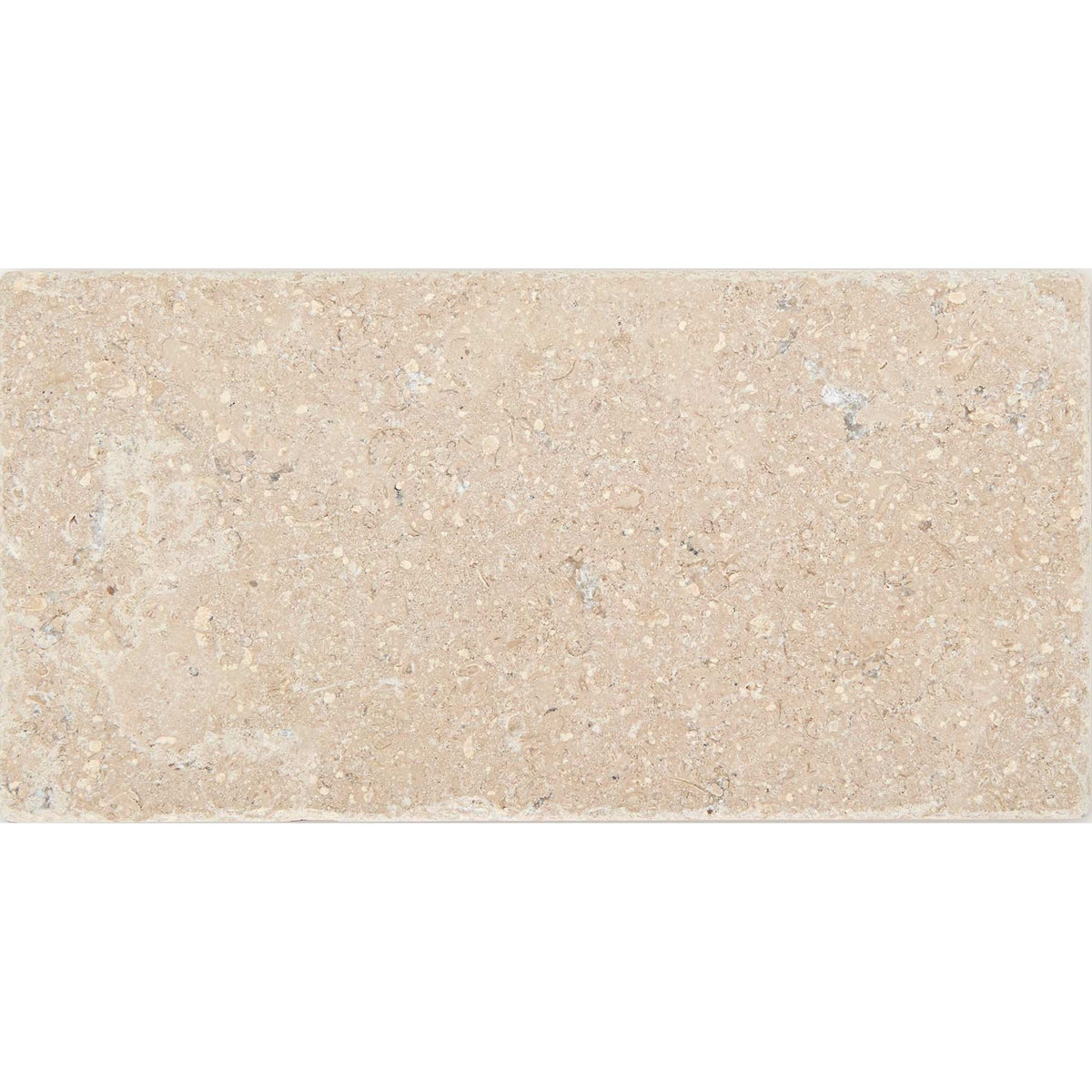 Temple Marsa sandblasted and brushed limestone tile 20 x 40cm — light beige natural stone with fossils and veining
