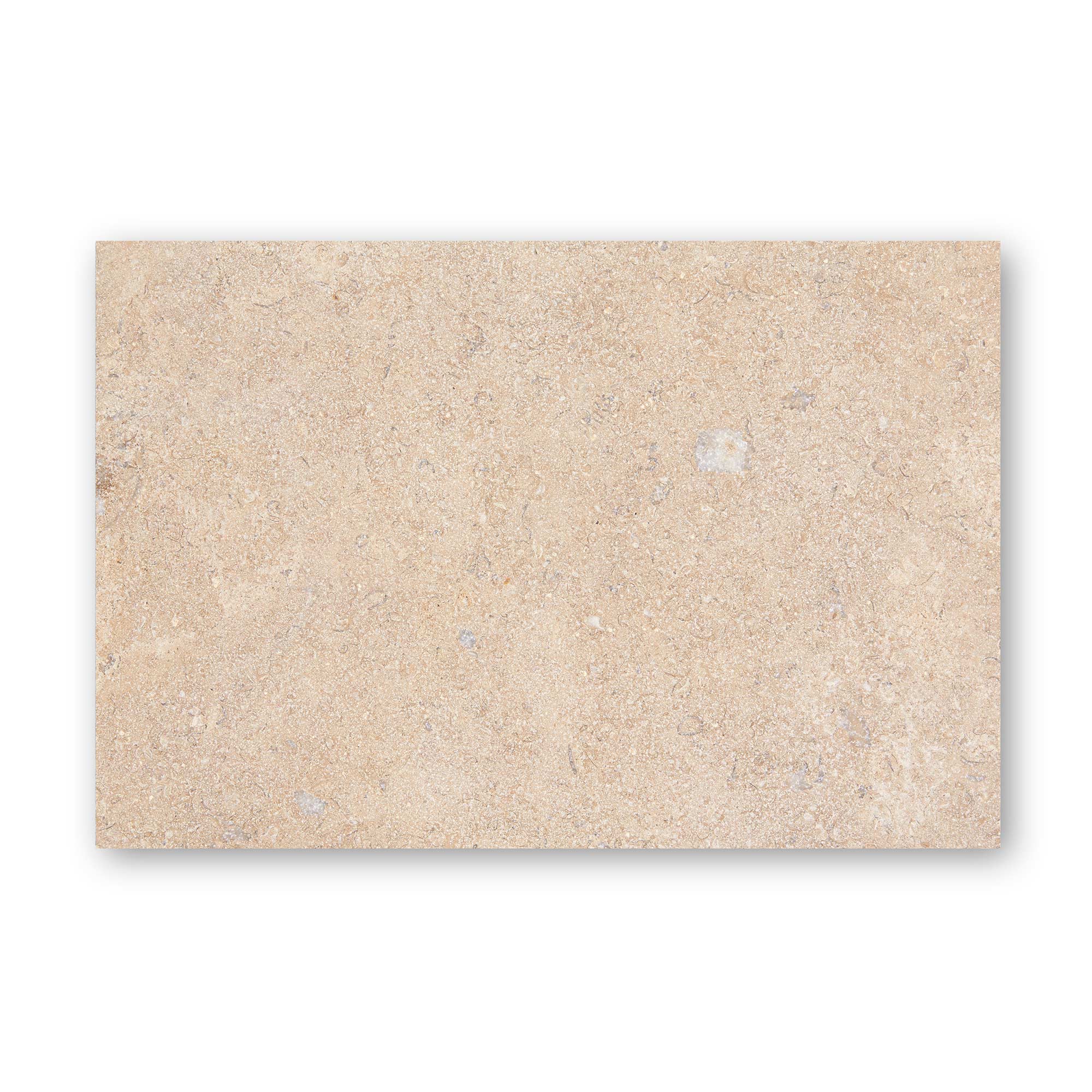 Temple Marsa sandblasted and brushed limestone tile 60 x 90cm — light beige natural stone slab with fossils and veining
