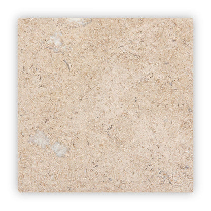 Temple Marsa sandblasted and brushed limestone tile 20 x 20cm — light beige natural stone with fossils and veining