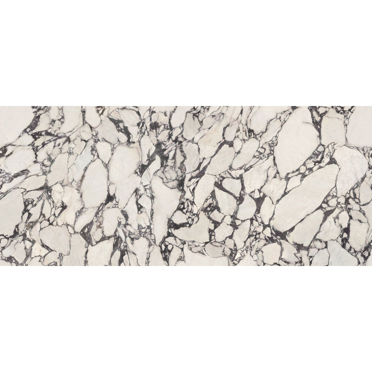 White marble slab marvel epic calacatta viola with intricate black veining for elegant interior surfaces