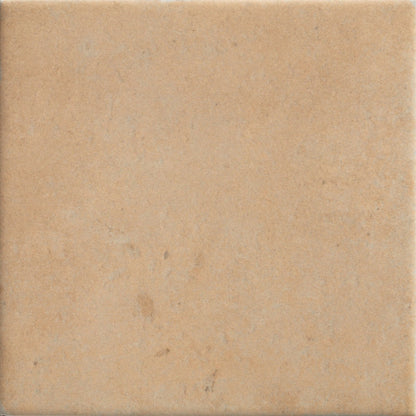 Menara Cotto Porcelain Matt