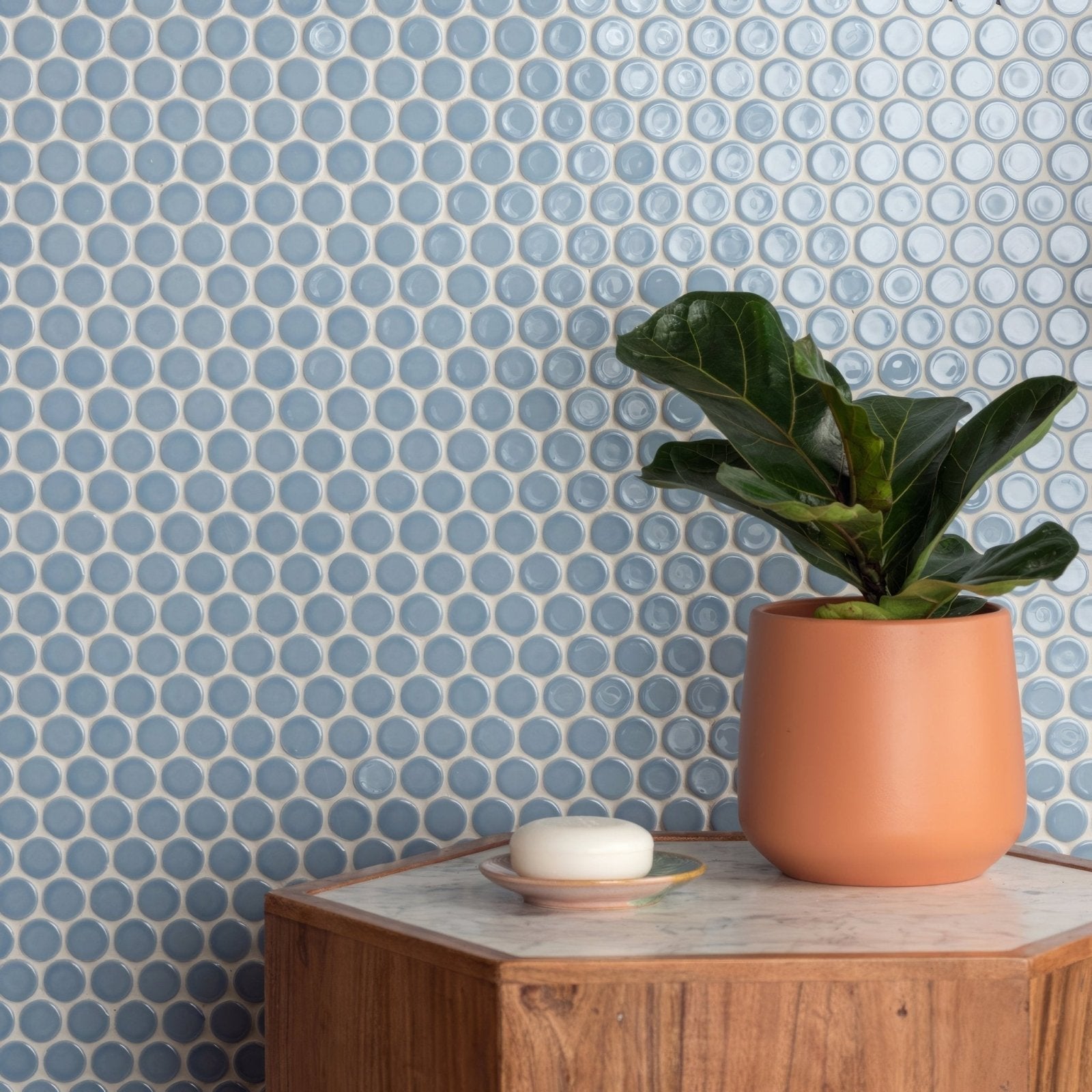 A mini light blue penny round terracotta ceramic planter with a matte finish holds lush green fiddle-leaf fig leaves