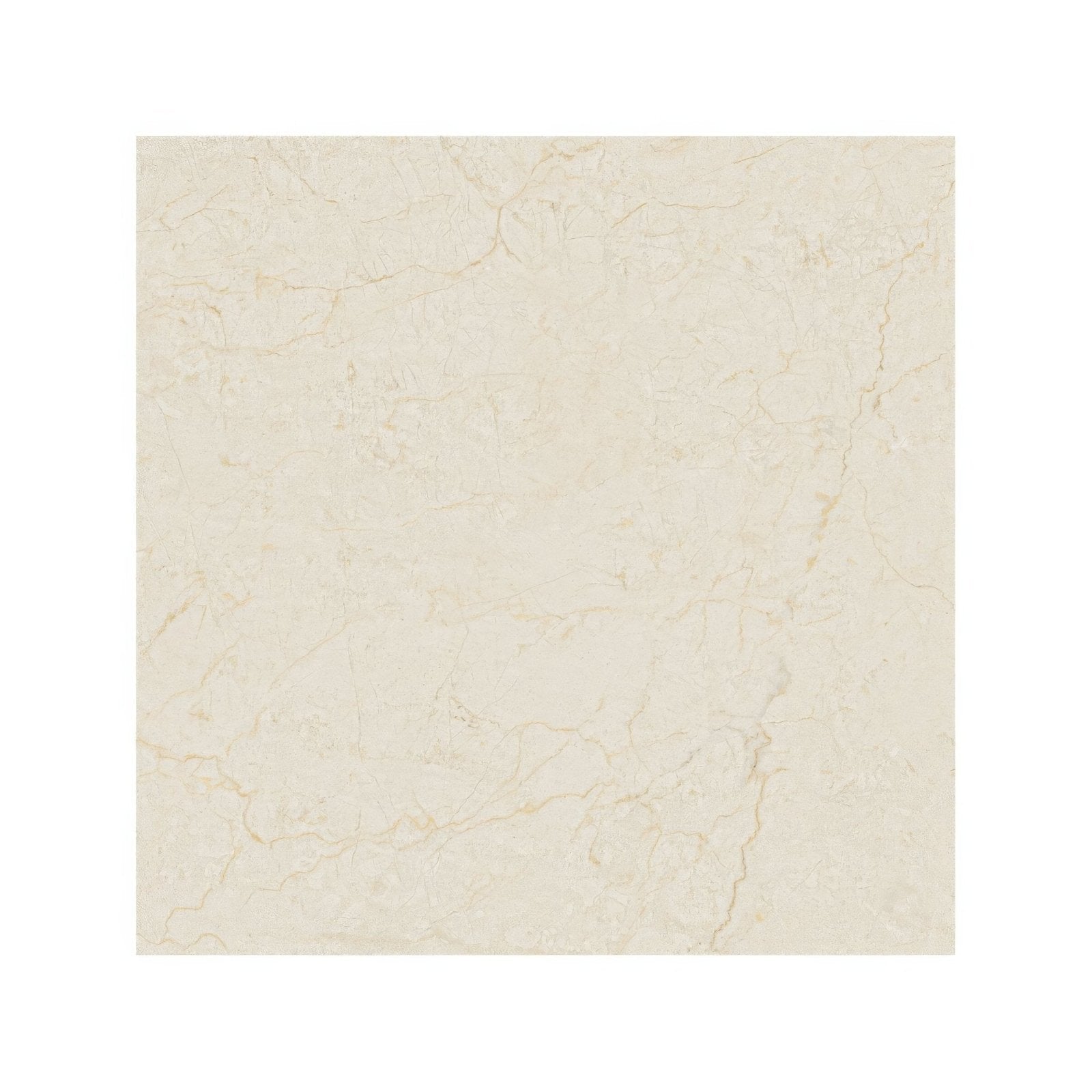 Monte Coto Cream cream-colored marble tile with subtle veining ideal for elegant flooring and wall applications