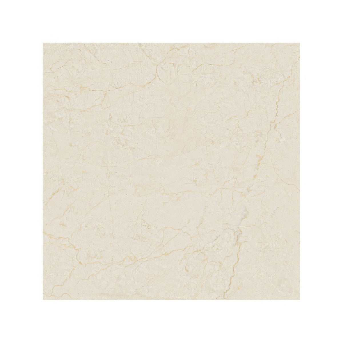 
Monte Coto Cream cream-colored marble tile with subtle veining ideal for elegant flooring and wall applications
