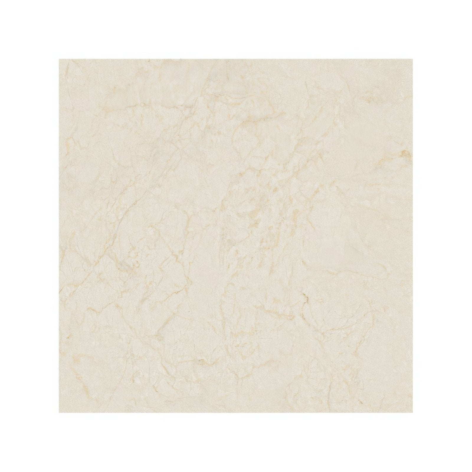 Monte Coto Cream cream-colored marble tile with subtle veining for elegant flooring and wall applications
