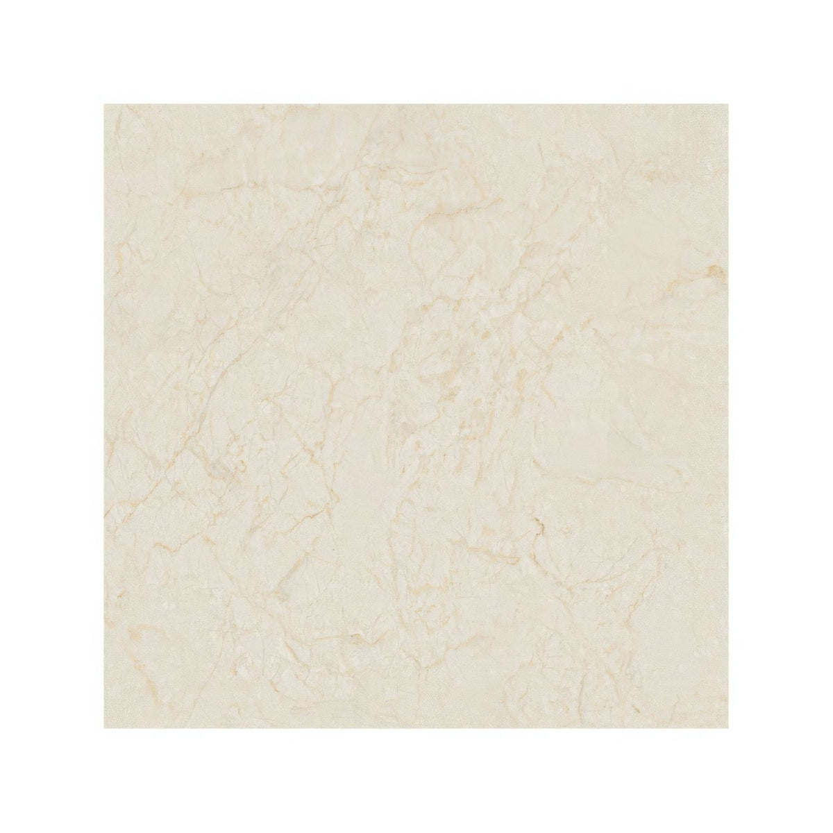
Monte Coto Cream cream-colored marble tile with subtle veining for elegant flooring and wall applications