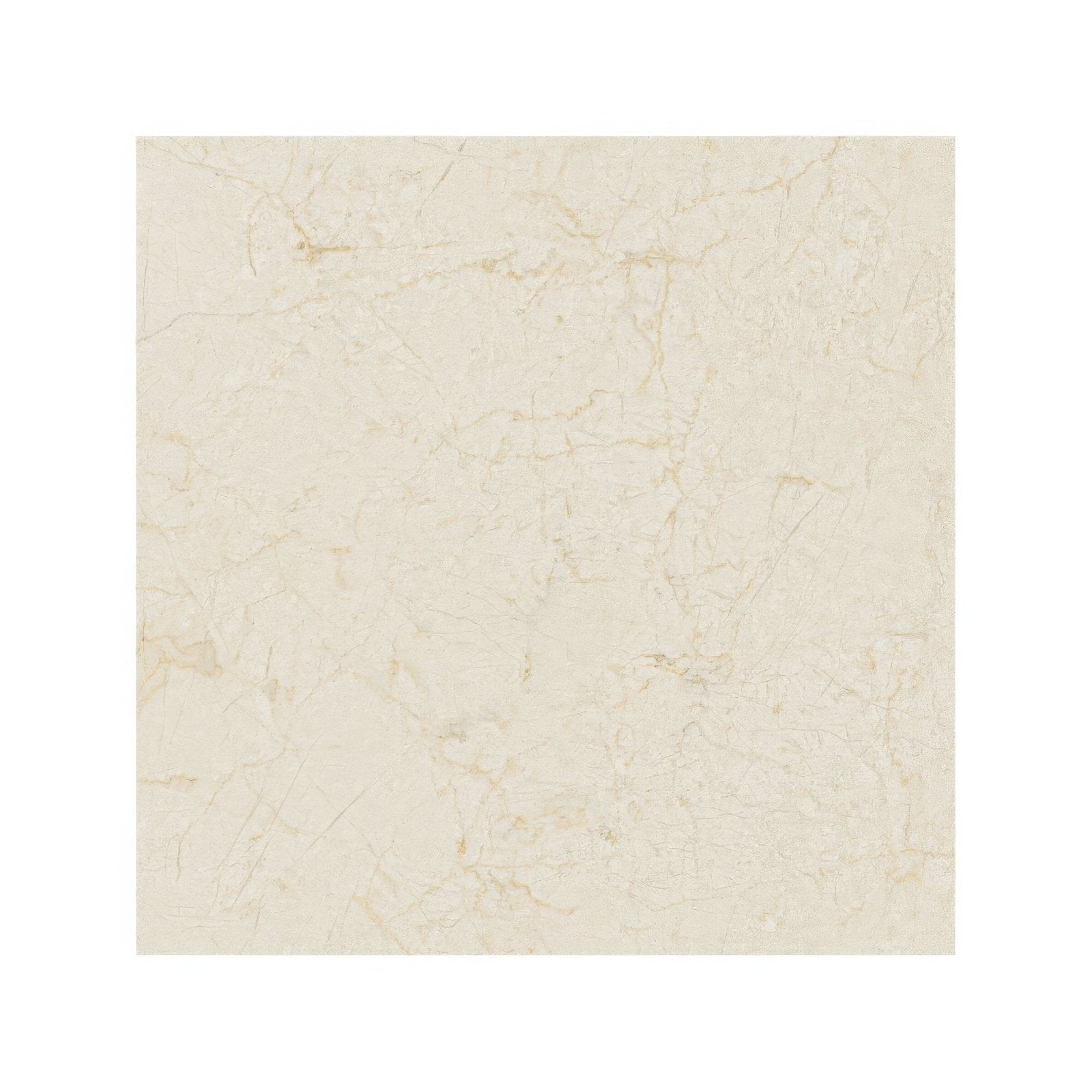 Monte Coto Cream cream-colored square tile with subtle beige veining and polished smooth surface for flooring and walls