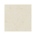 Monte Coto Cream cream-colored square tile with subtle beige veining and polished smooth surface for flooring and walls