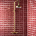 Brass-finished shower head with curved arm and cross-handle faucet mounted on red musk half tile wall tiles