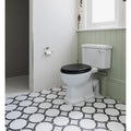 White ceramic toilet with black seat and lid from neisha crosland tulia hula hoop black collection