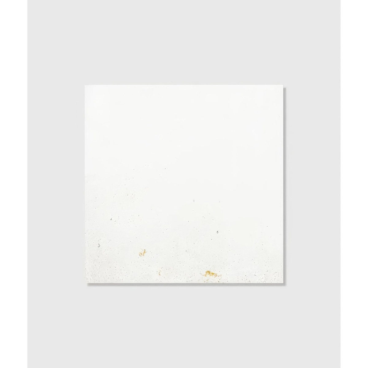 Nuance ceramic white ceramic tile with subtle gold leaf accents for elegant wall and floor applications