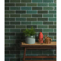 A textured matte gray ceramic Oasis ceramic green gloss planter with speckled finish holding lush green foliage