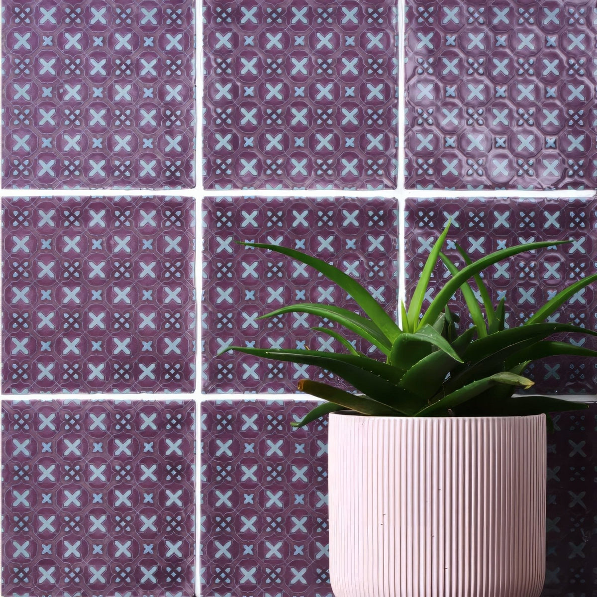 
A pink ribbed ceramic planter holding a green succulent plant from ormeaux on glen collection