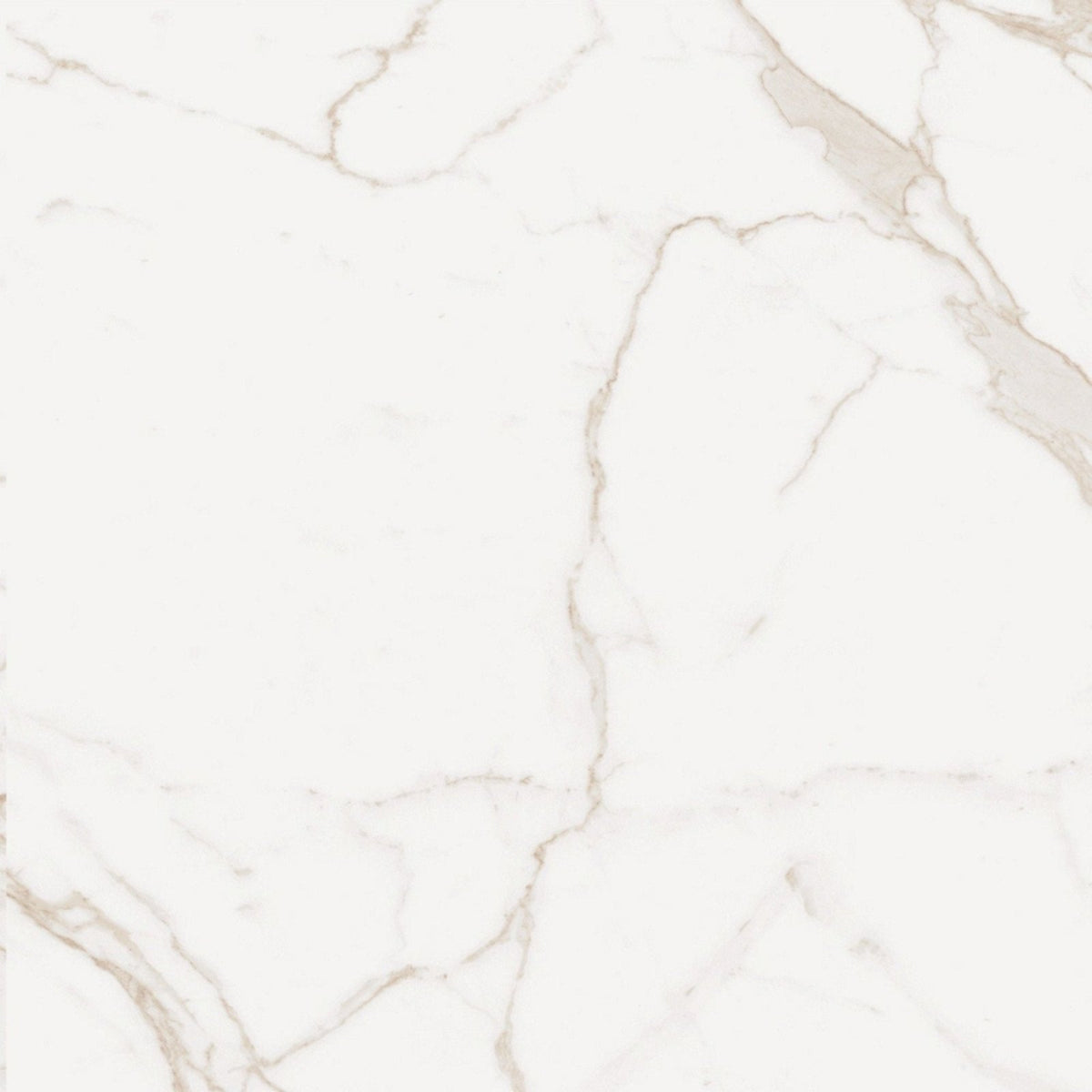 Palatina gold matt 60x60 marble effect tile in white marble with subtle beige veining for elegant flooring