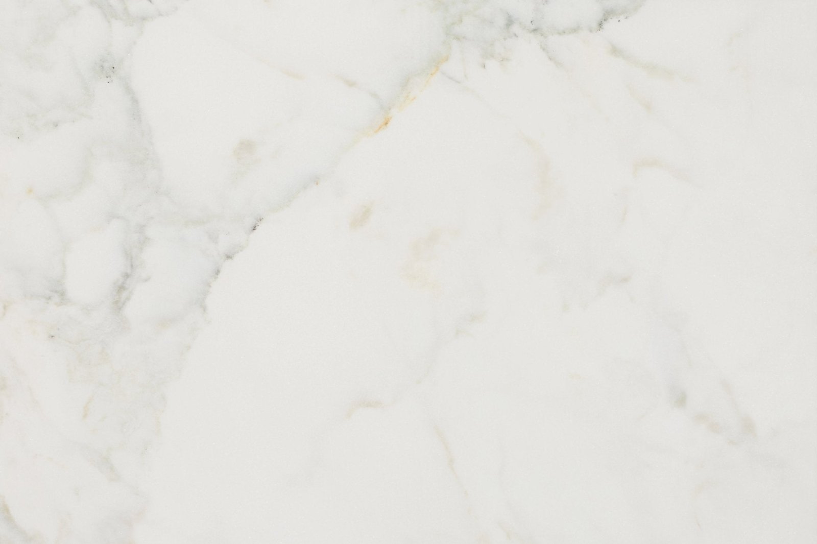 Palazzo Oro Honed Marble 61 x 40.6cm