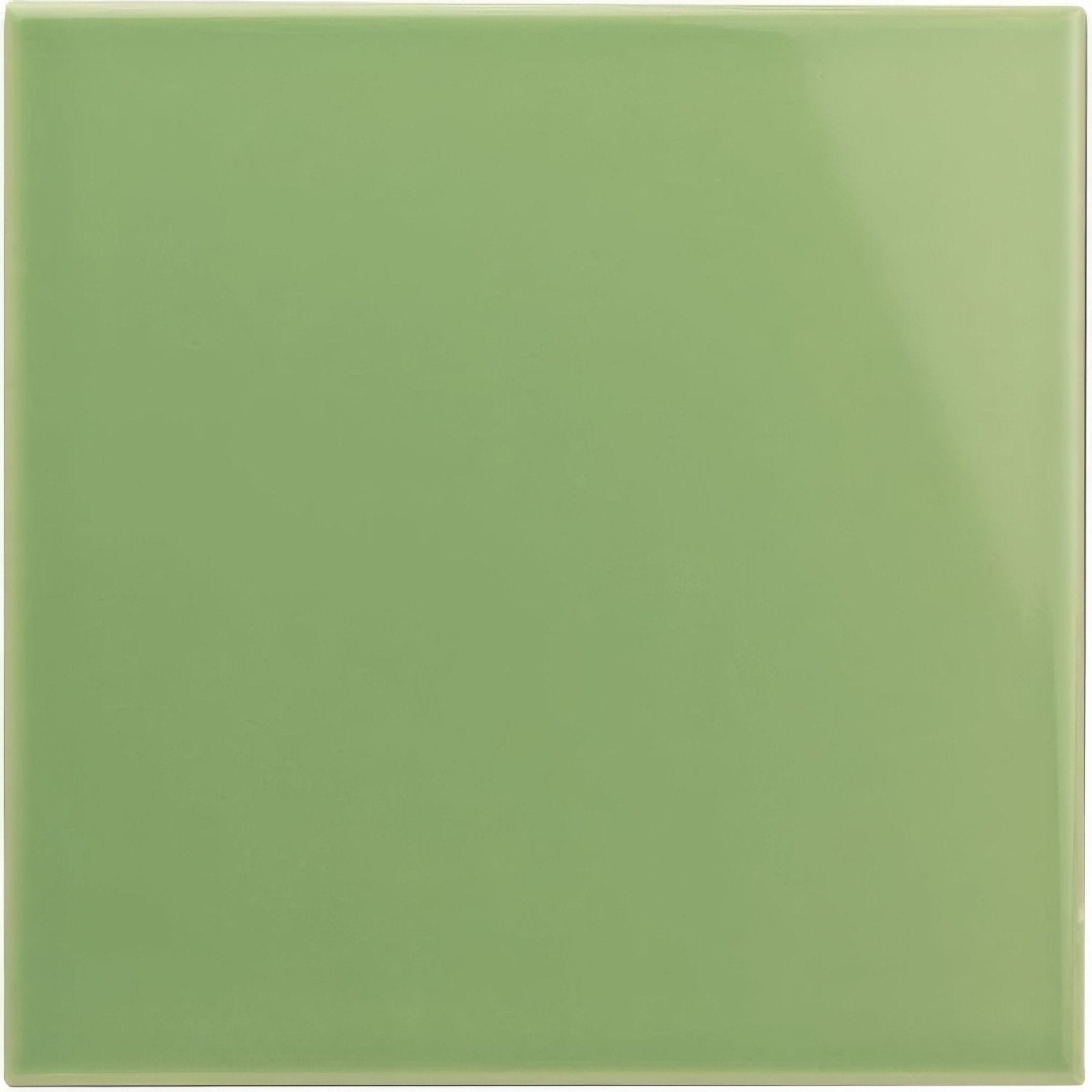 A smooth square ceramic tile with a glossy sage green finish called palm green field tile