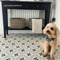A fluffy light brown poodle wearing a black and white herringbone bow tie next to patisserie sucre 1 patterned tile product
