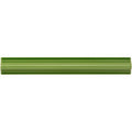 Pavillion Green Astragal Moulding Ceramic Wall Tile 152x21mm