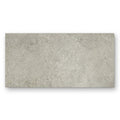 A rectangular gray concrete-effect tile with a textured speckled surface pebble beach taupe 120 x 60cm