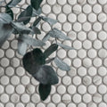 Penny Round Matt Carrara White white marble penny round mosaic with a eucalyptus branch