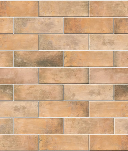 Petite Porcelain Matt Cotto Dark