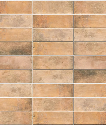 Petite Porcelain Matt Cotto Dark