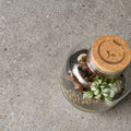 A clear glass terrarium with cork stopper and minimalist logo containing green and variegated plants in piazza grey 60 x 120cm