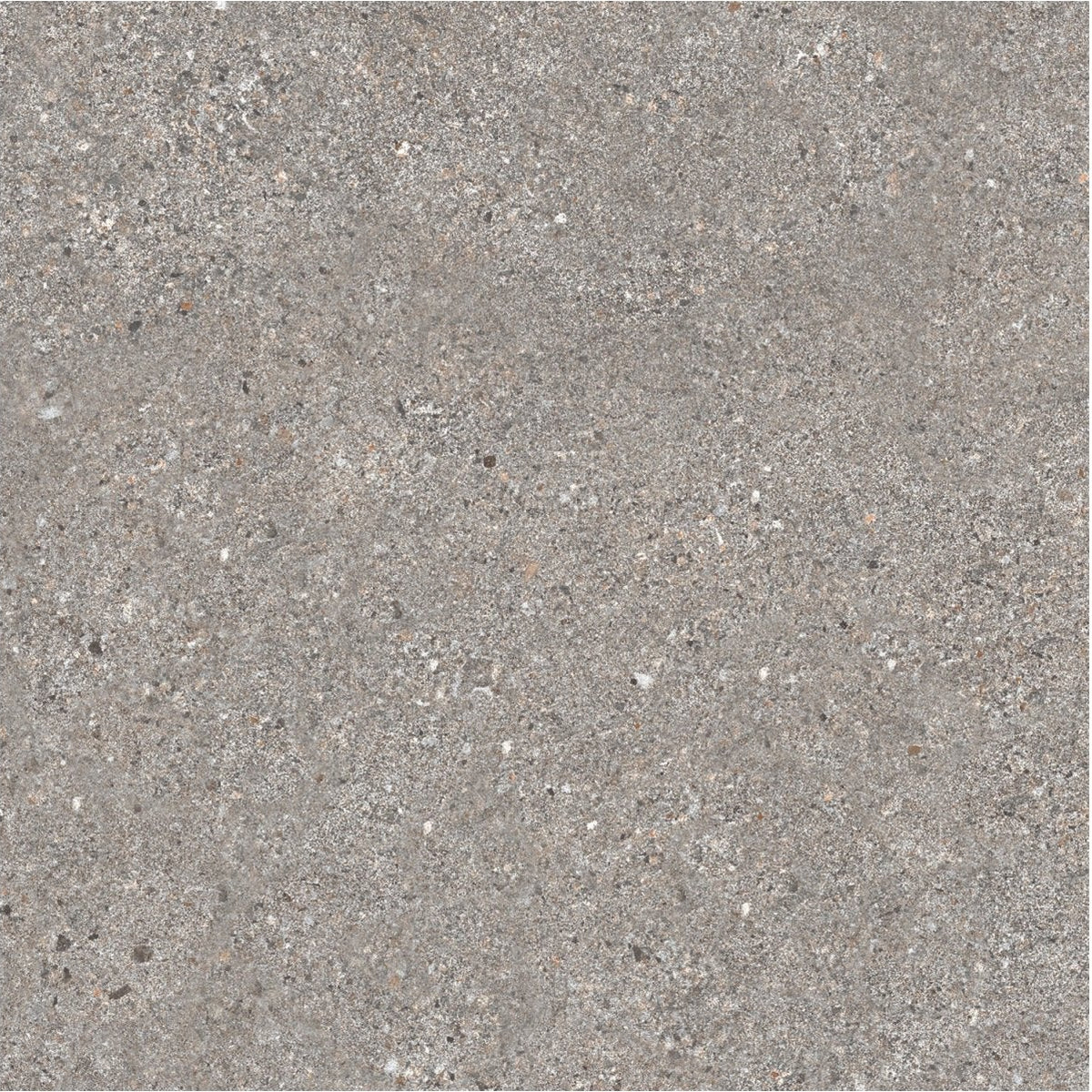 Gray concrete tile piazza grey 60 x 60cm with speckled texture and subtle tone variations for flooring use