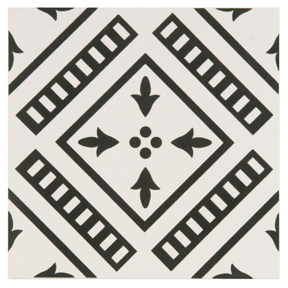 Pompeii Black on Dover White