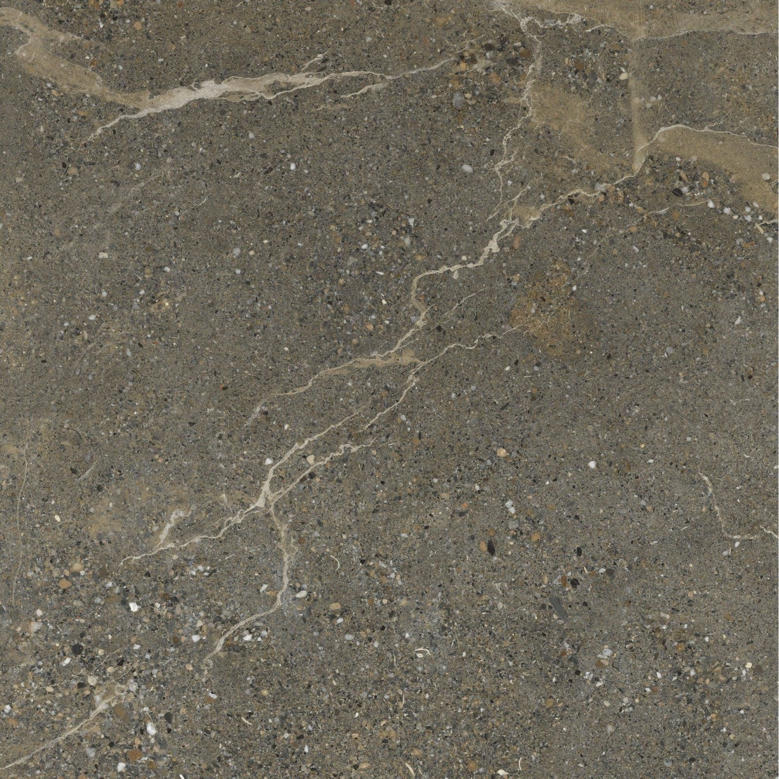 Etna porcelain matt stone tile in dark gray with subtle beige veining and speckled texture 59.5x59.5cm
