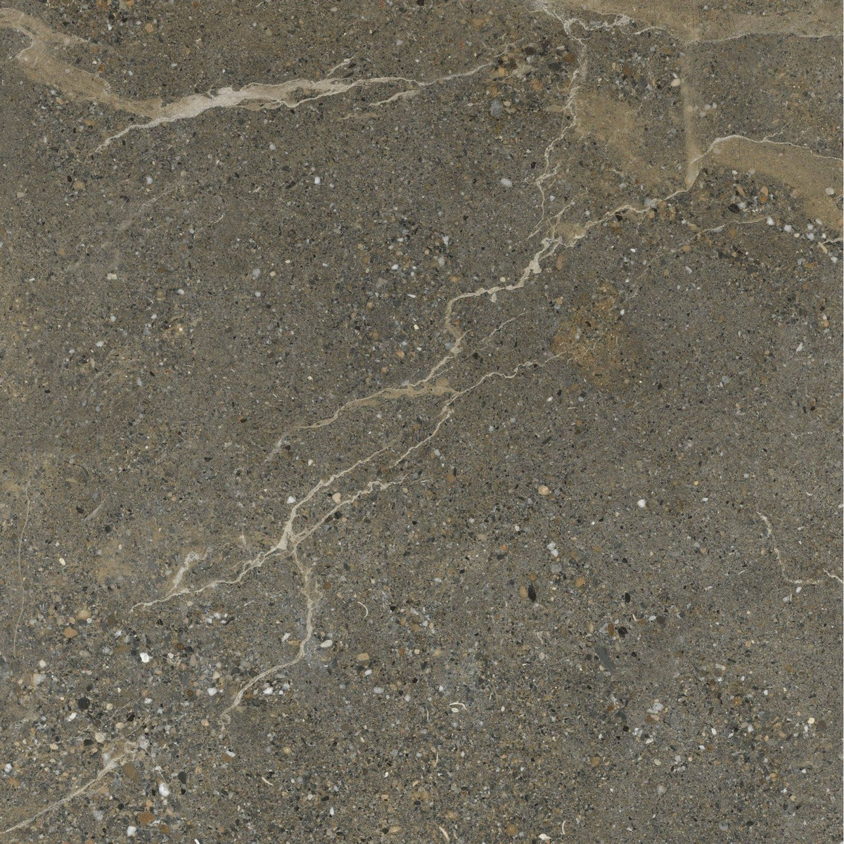 Etna porcelain matt stone tile in dark gray with subtle beige veining and speckled texture 59.5x59.5cm
