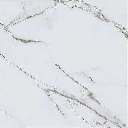 Portare Kensington Porcelain Matt 60 x 60cm