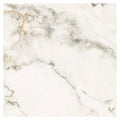 Muscat Porcelain 59.5 x 59.5cm – close-up detail (2)