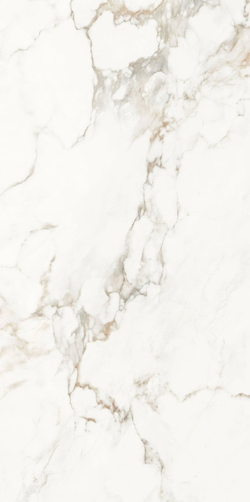 Portare Muscat Porcelain 60 x 120cm