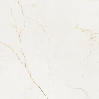 Portare Soprano Porcelain 60 x 60cm