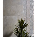 A tall spiky green yucca plant in front of smooth matte gray and glossy white southdown porcelain satin 60 x 120cm tiles
