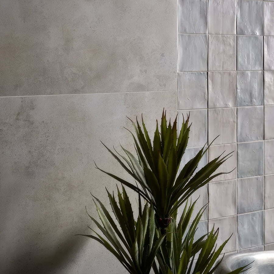 Southdown Porcelain Satin 60 x 60cm grey textured tiles with a yucca plant