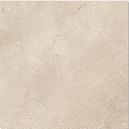 Portare Winchester Porcelain Satin 60 x 60cm