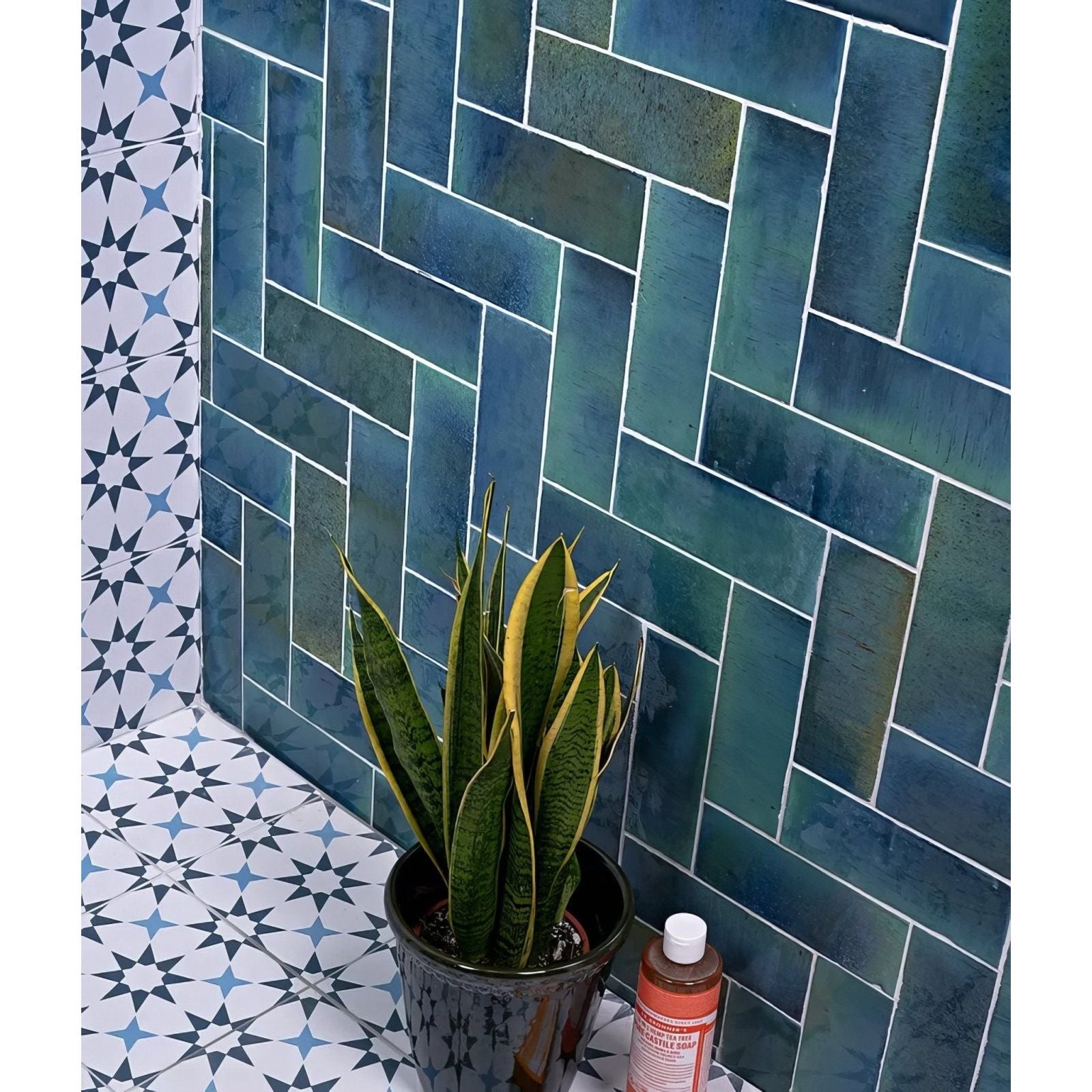 A potted snake plant with yellow-edged green leaves in a dark gray ceramic pot for pottery porcelain ocean blue brick