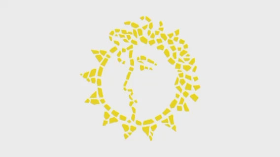 Showroom Walk Through Video