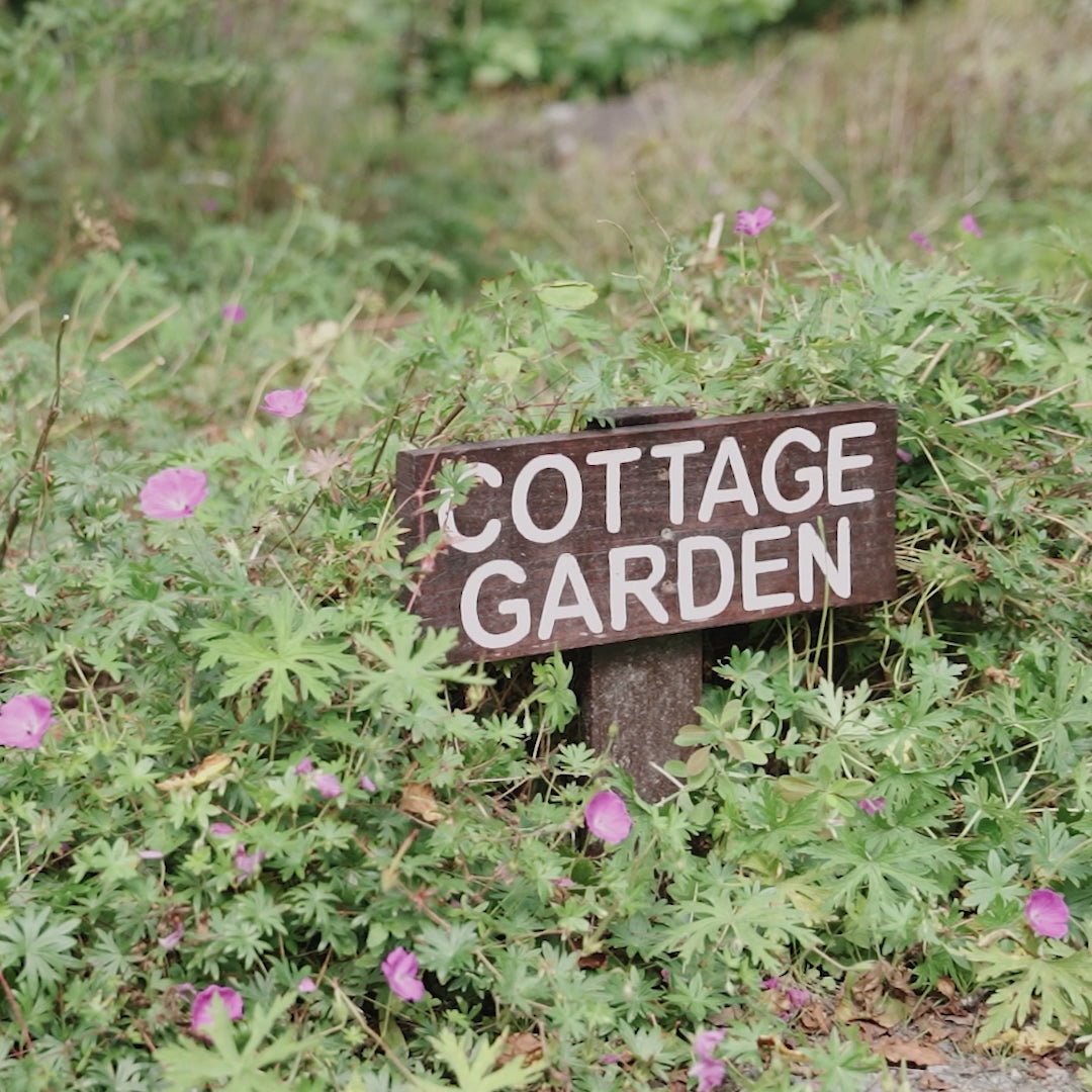 Decor Tile Collection