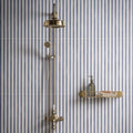 Brass showerhead promenade brighton 60x30cm with sleek rounded design and polished finish for bathroom use