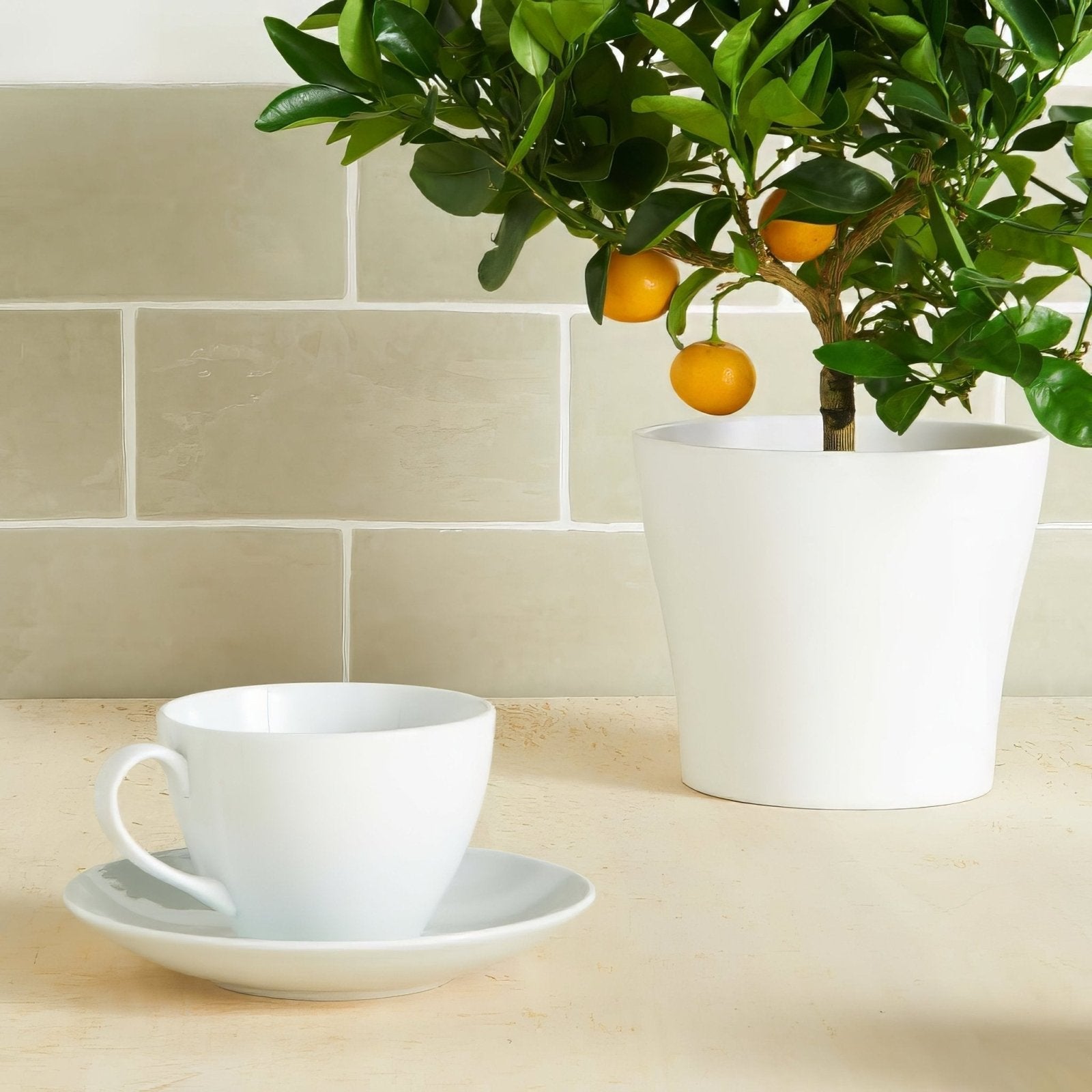 White ceramic coffee cup and saucer set displayed alongside pumice brick tile product for home decor use