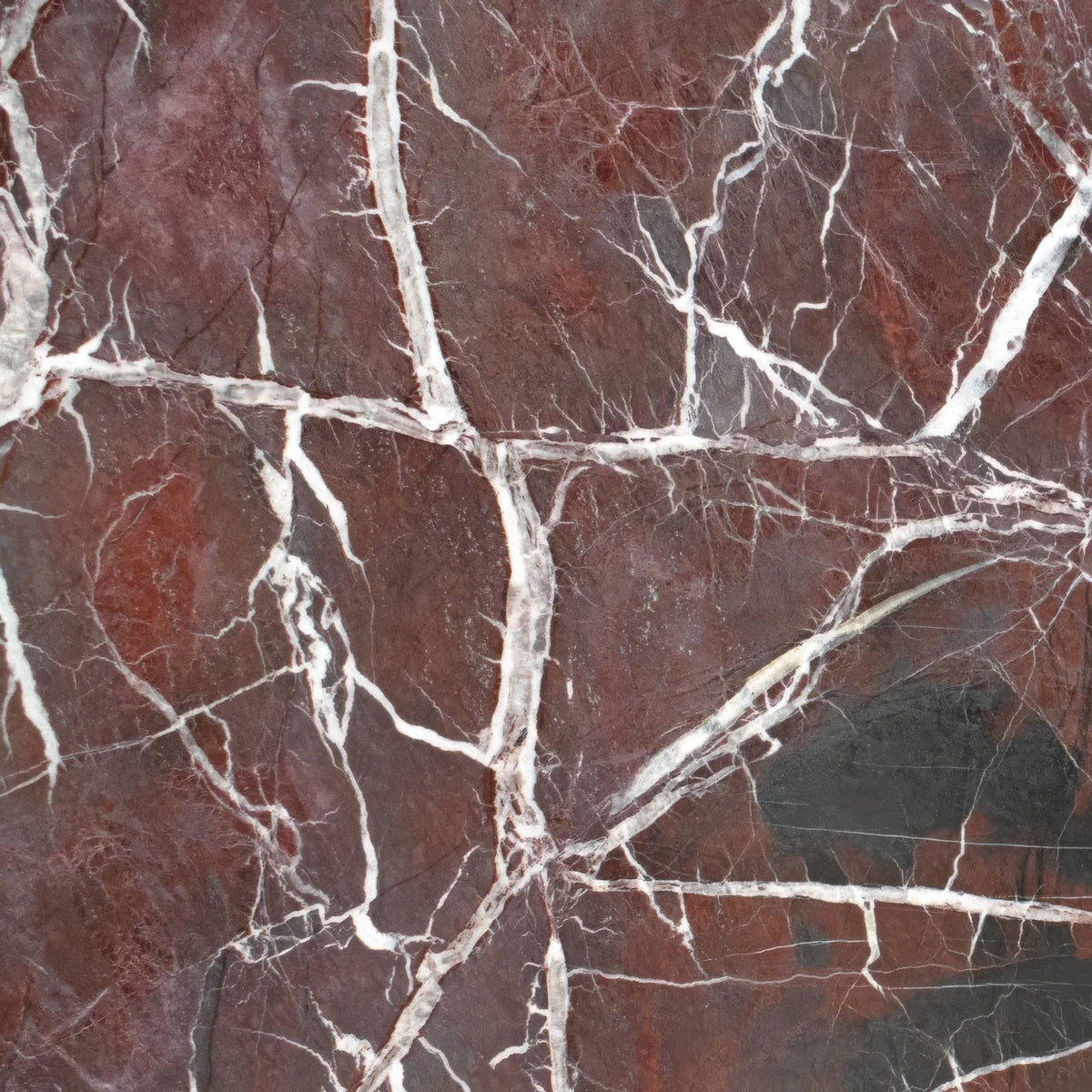 Rich burgundy marble tile with intricate white veining in carrara white and red marble honed chequerboard design