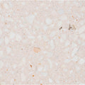 Beige rialto terrazzo ballerin honed surface with white gray and peach stone fragments speckled pattern